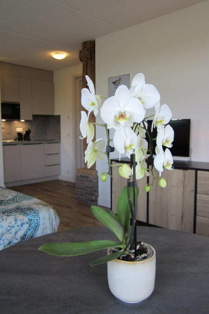 Aan De Dijk Apartment Edam